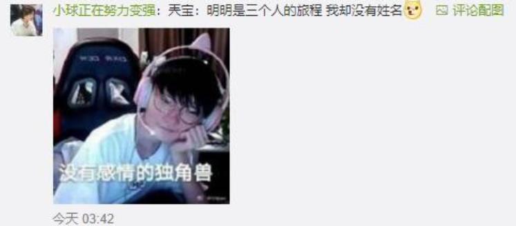 你家狗子为啥总爱啃拖鞋？