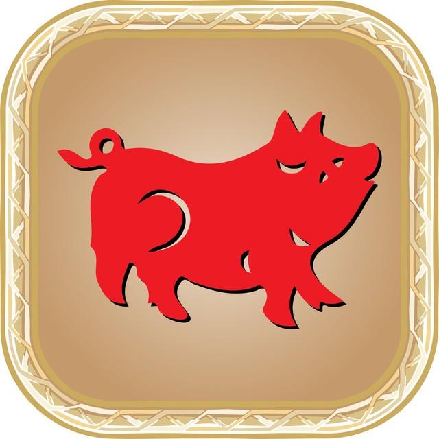 2024龙年到底藏着什么玄机？