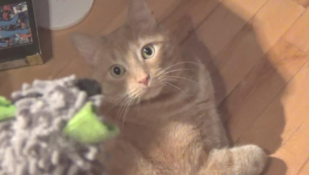 深入探究：观音灵签的求签原则全解析