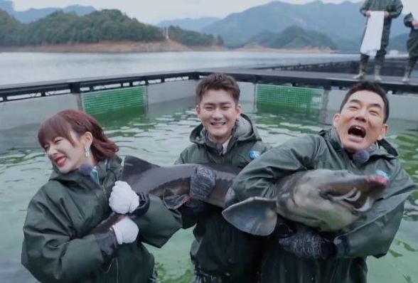 中华鲟的鳞片颜色藏着什么惊天秘密？