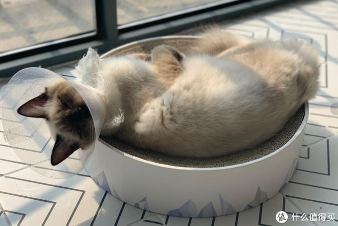 2008年老黄历现在还能用吗？