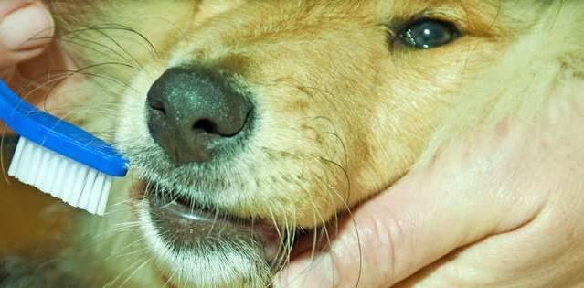 梁氏男孩名字大全：好听、独特、寓意深远的取名指南