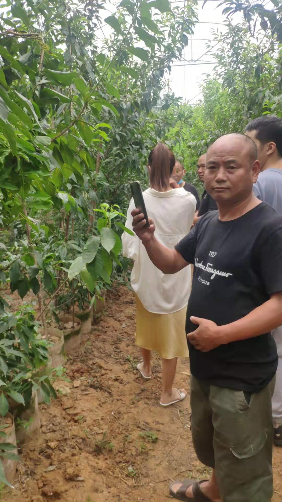 2021年8月哪天最适合办大事？