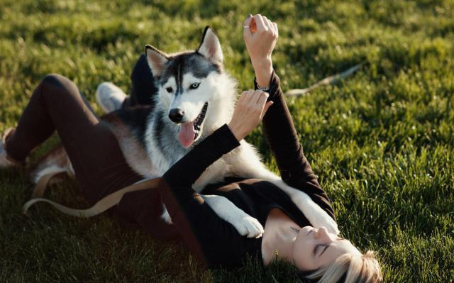 萨摩耶起名到底有什么讲究？