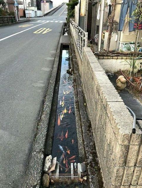 新手怎么写宝贝详情才能月销过万？