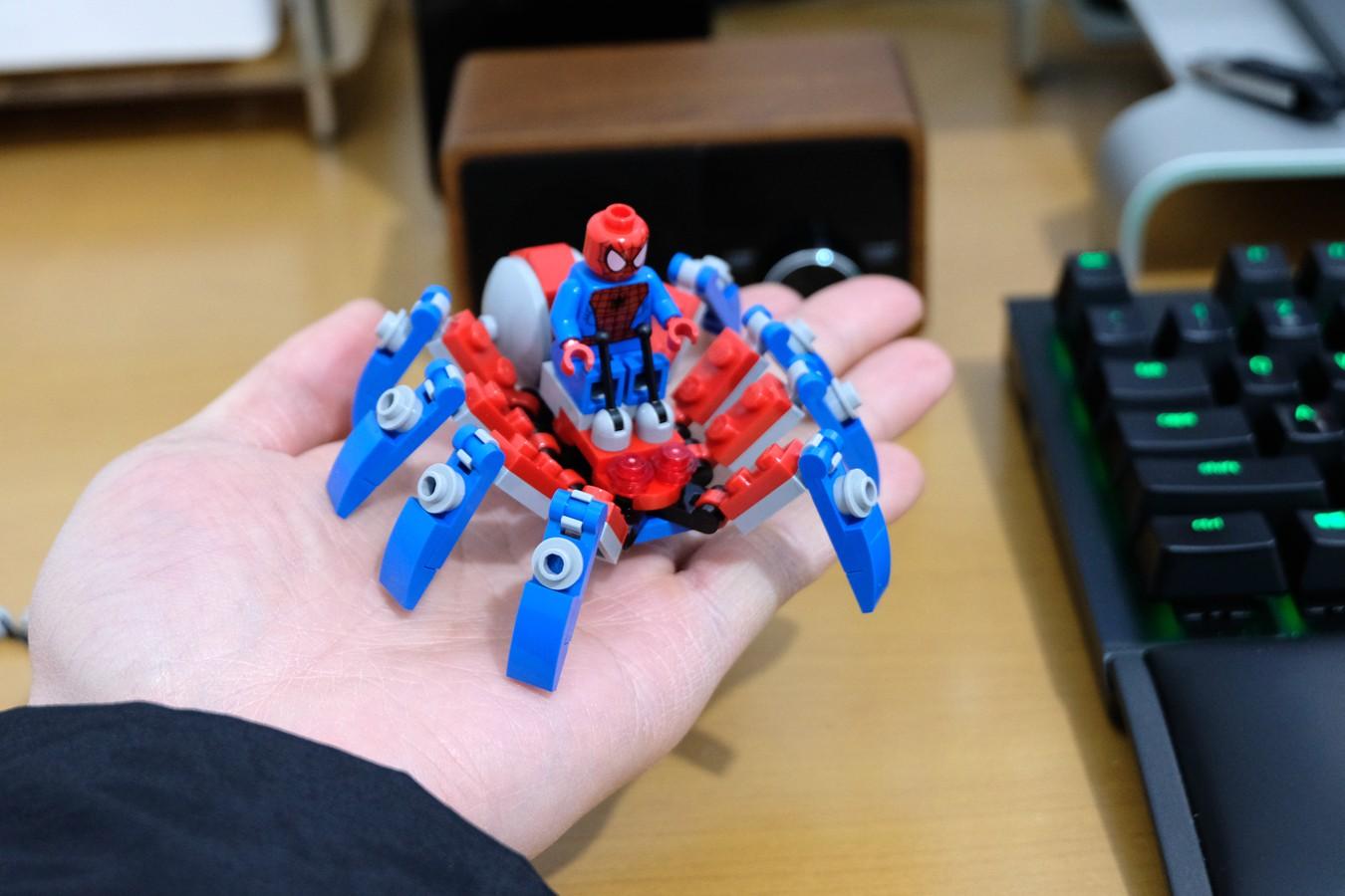 你敢养一只巴掌大的毒蜘蛛吗？