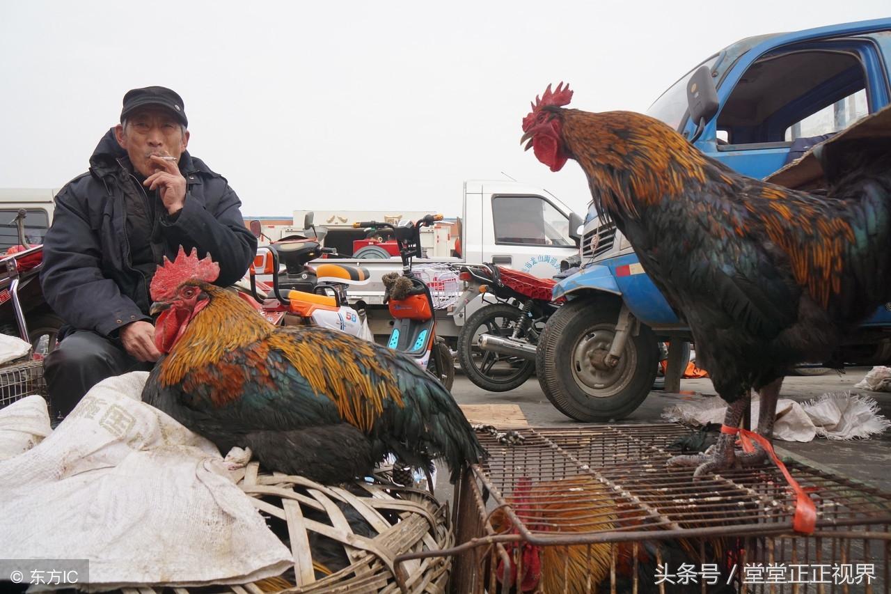 腊月十九到底有什么讲究？