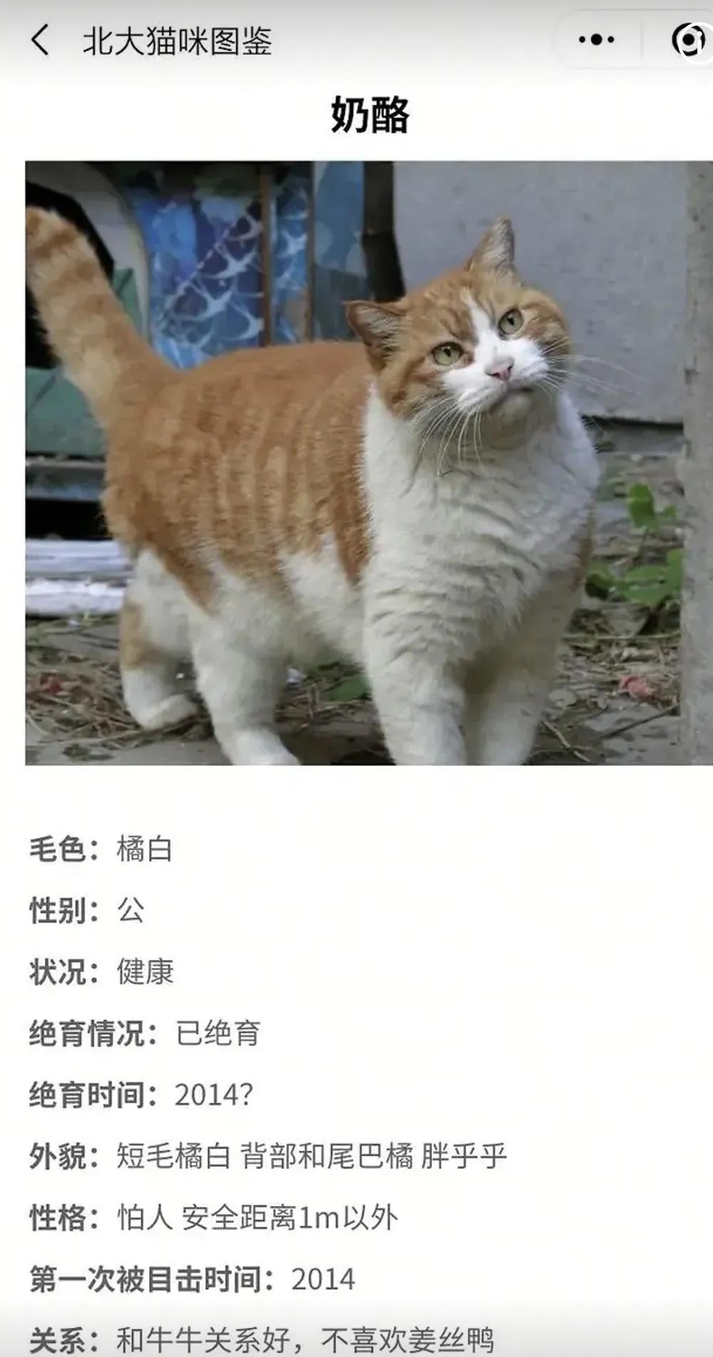 北大猫真的能听懂高等数学吗? 北大猫真的能听懂高等数学吗?