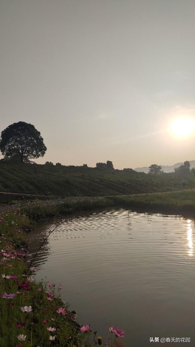 5月9日究竟藏着多少你不知道的秘密？