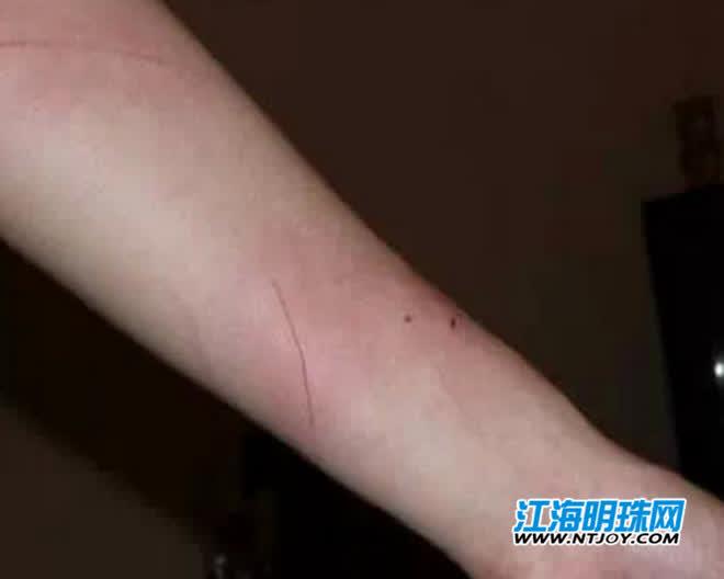 拼多多降价保护规则详解：如何申请及适用条件