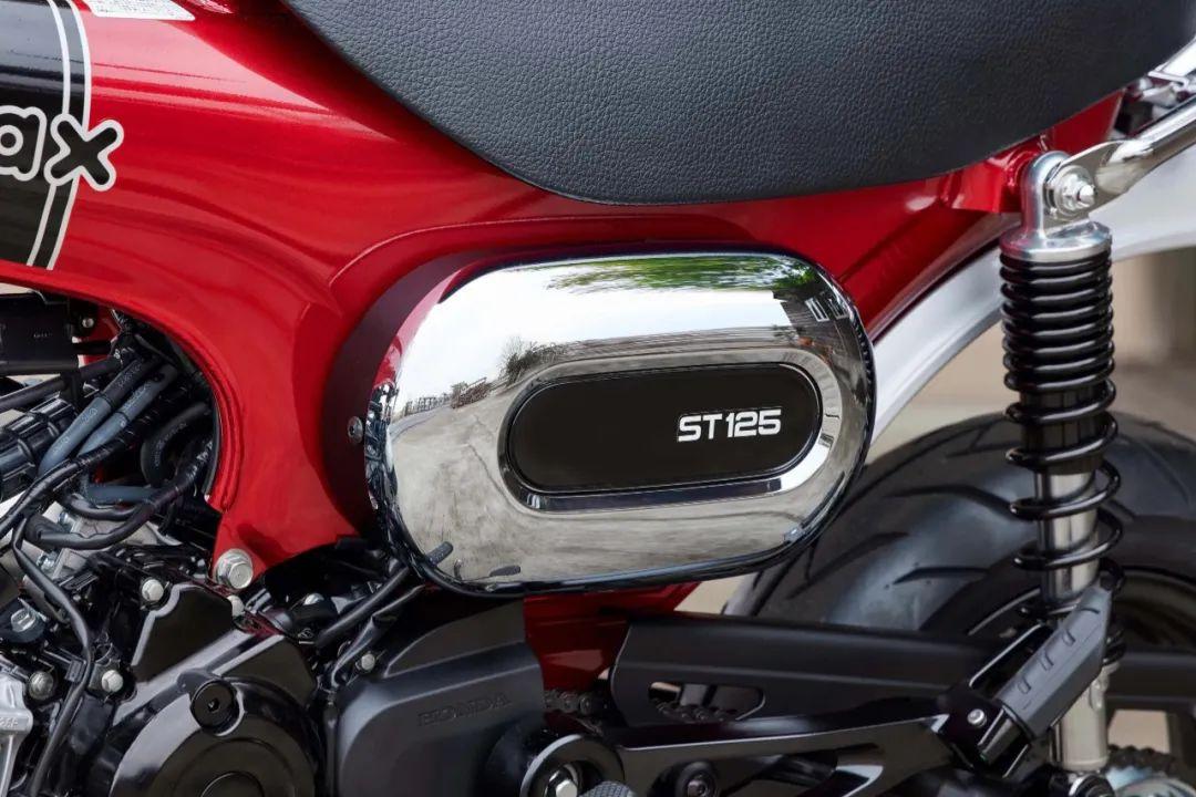 腊肠狗价格及选购腊肠狗的五大注意事项