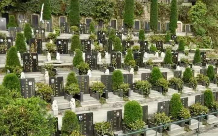 墓地风水学真的影响子孙运势吗？