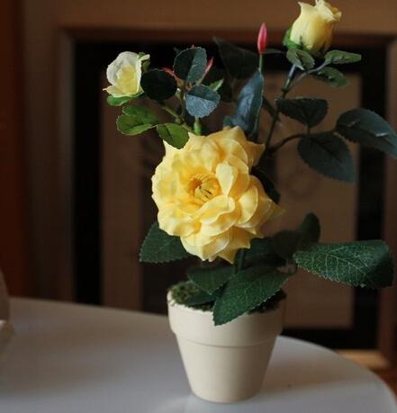 属龙人办公室怎么摆才能旺财运？