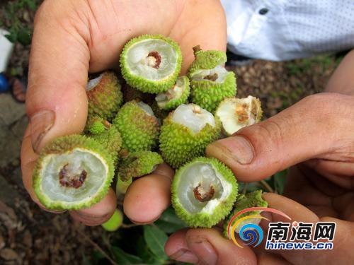 网购被坑了该去哪里投诉？