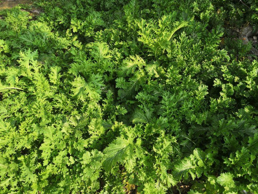 2020年2月哪天最适合办大事？