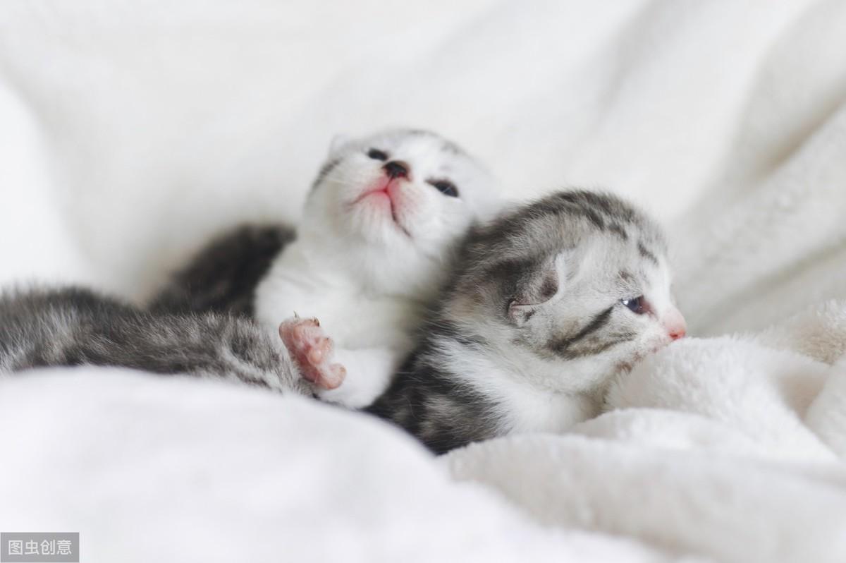 为什么你的闲鱼宝贝卖不出去？原因分析与解决策略