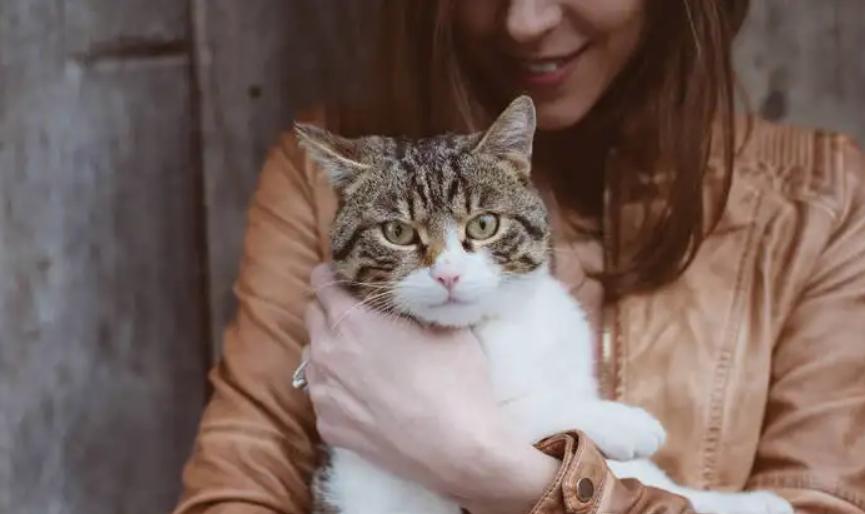 往子宫里产蛇卵真的存在吗？