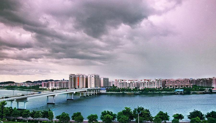 沙皮狗真的像网上说的那么难养吗？