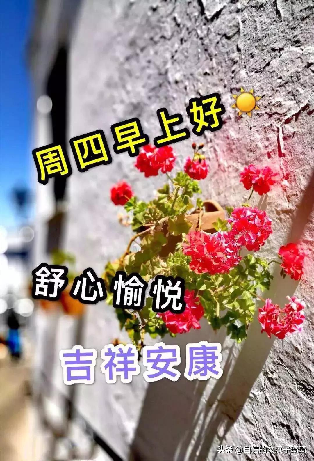 农历八月二十七到底藏着哪些你不知道的秘密？