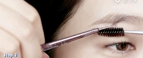 新手养画眉鸟真的会踩这么多坑吗？