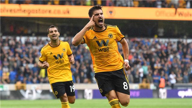 养火玫瑰蜘蛛会被咬吗？新手必看避坑指南