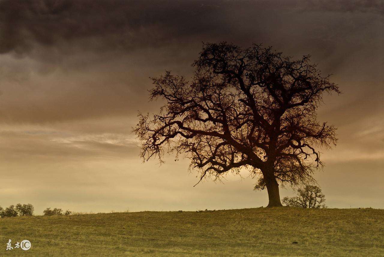 为什么你的梦境总在周公解梦里查不到答案？