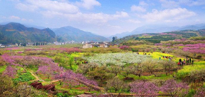 四月三十日到底藏着什么秘密？