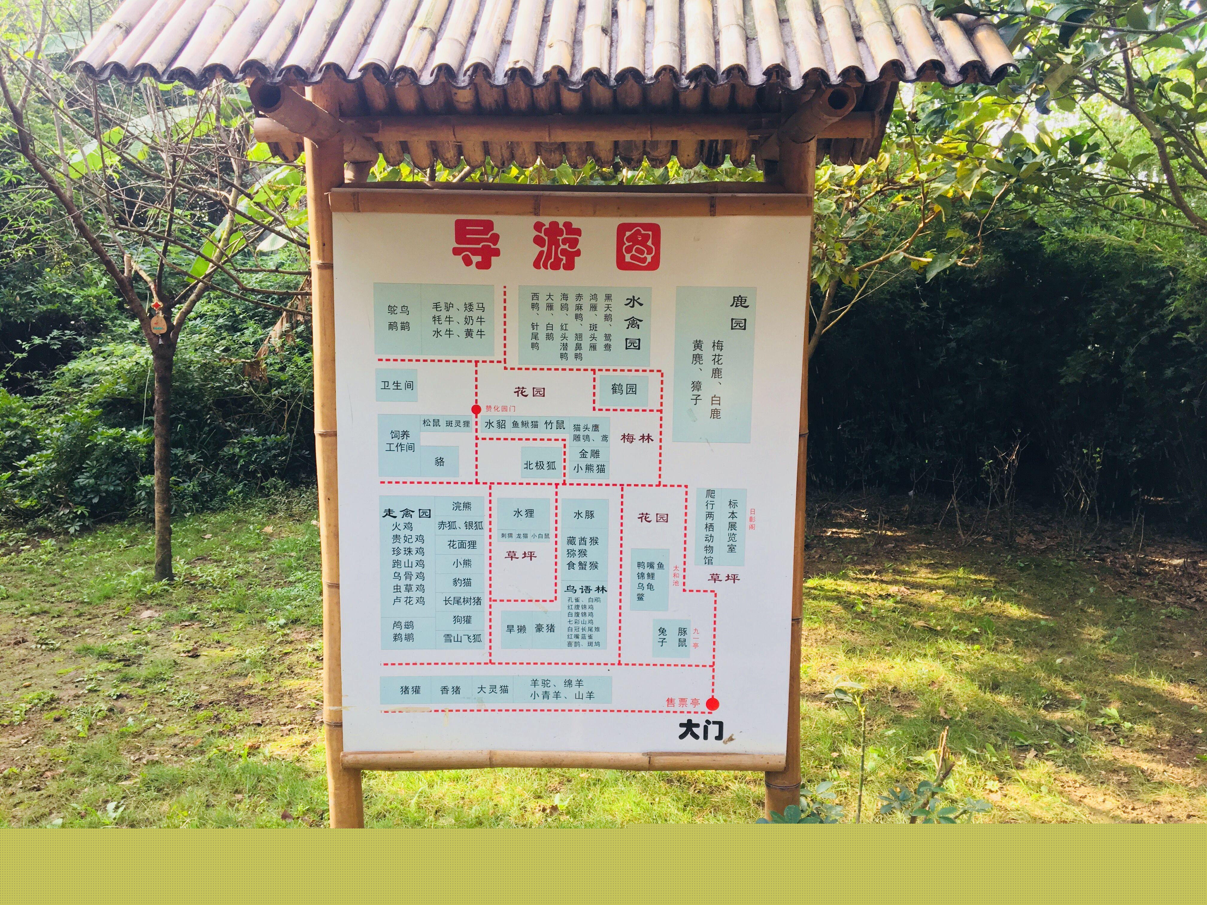 红腰鹦鹉真的适合新手当宠物养吗？