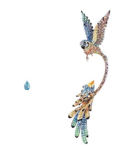 鹦鹉吞了21颗钻石怎么办？