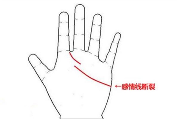 教你如何看手相_手相学看手相_手相观看