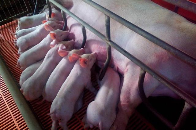 新手如何正确发布任务不被坑？