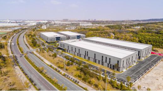 属虎人2018年真的会犯太岁吗？