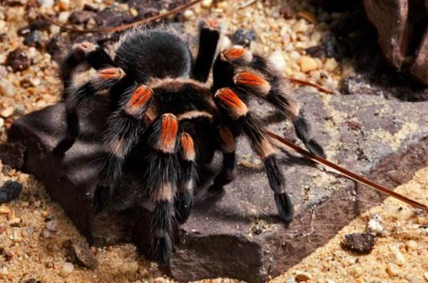 新手开网店连卖什么都不知道怎么办？