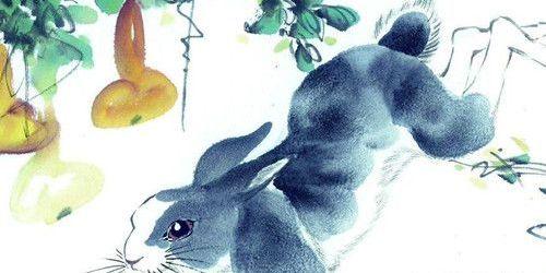 属兔人2020年到底能不能逆风翻盘？