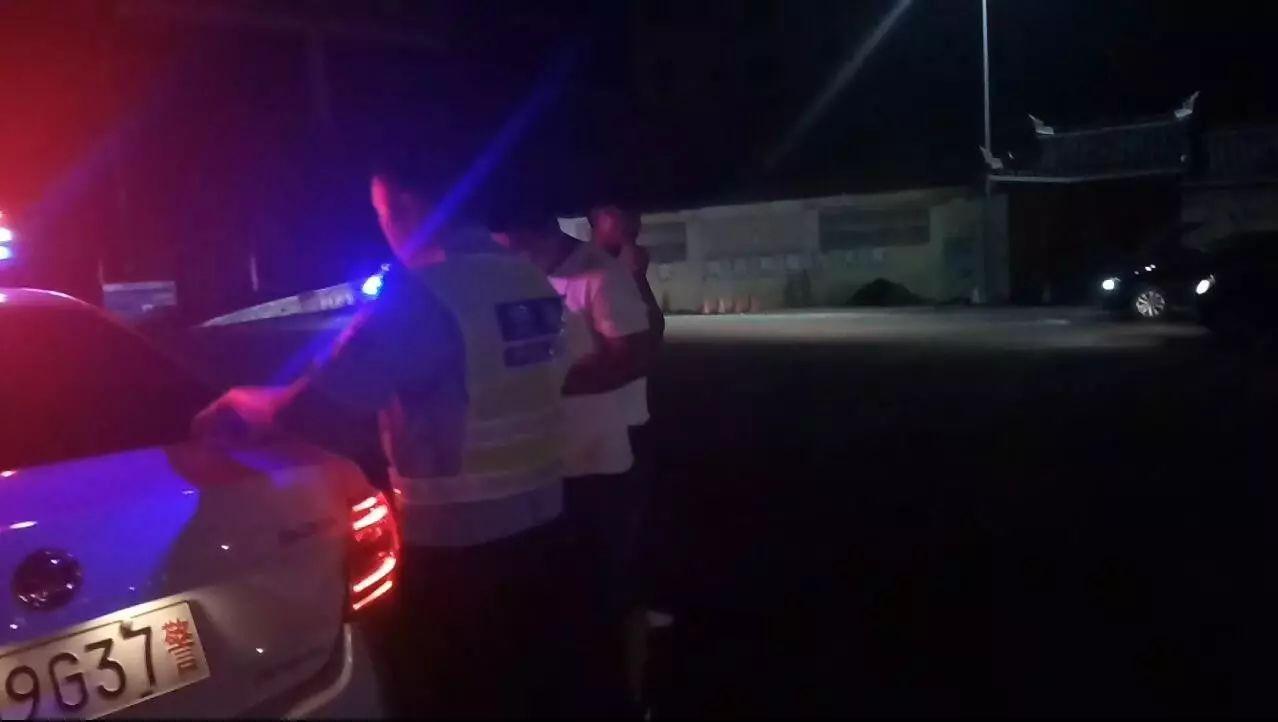 阿拉斯加雪橇犬真的适合当宠物吗？