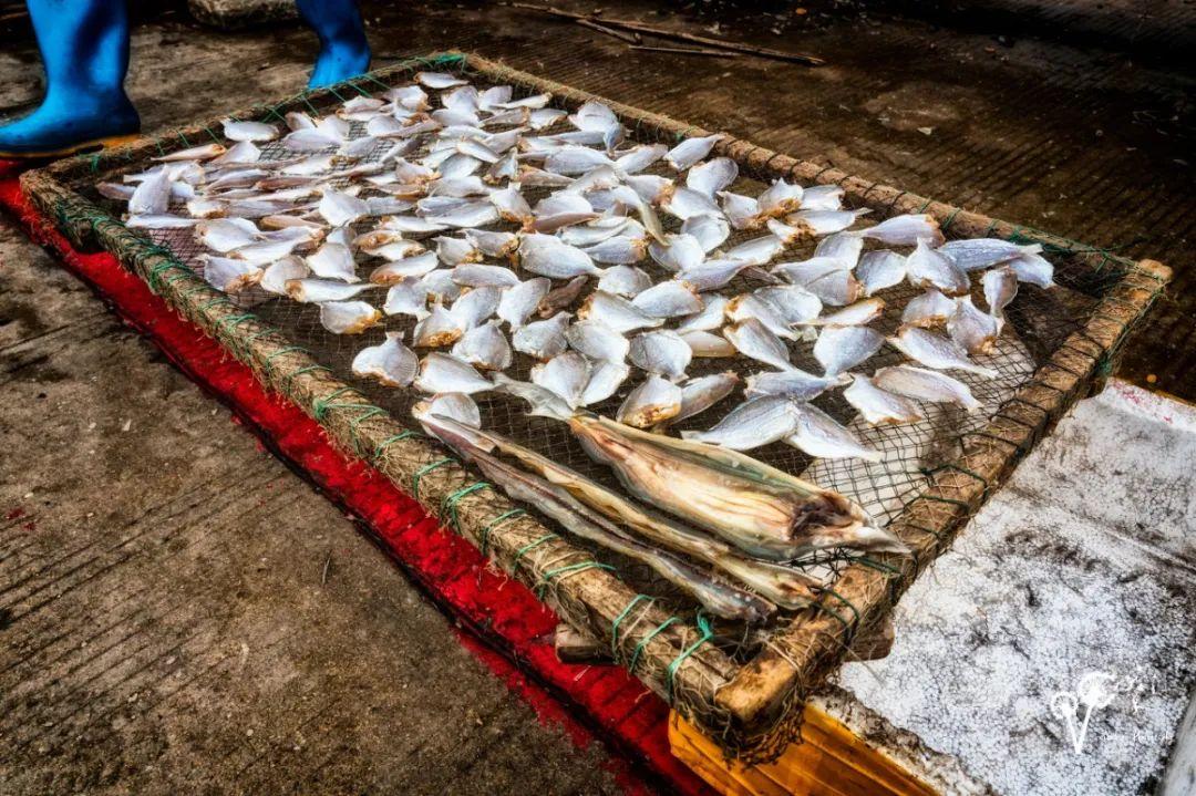 龙鱼掉眼是否要紧？实则不会影响龙鱼健康状况