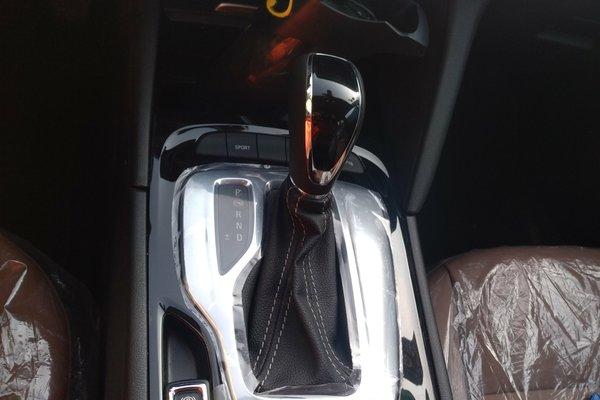 暗色吸蜜鹦鹉真的适合新手养吗？