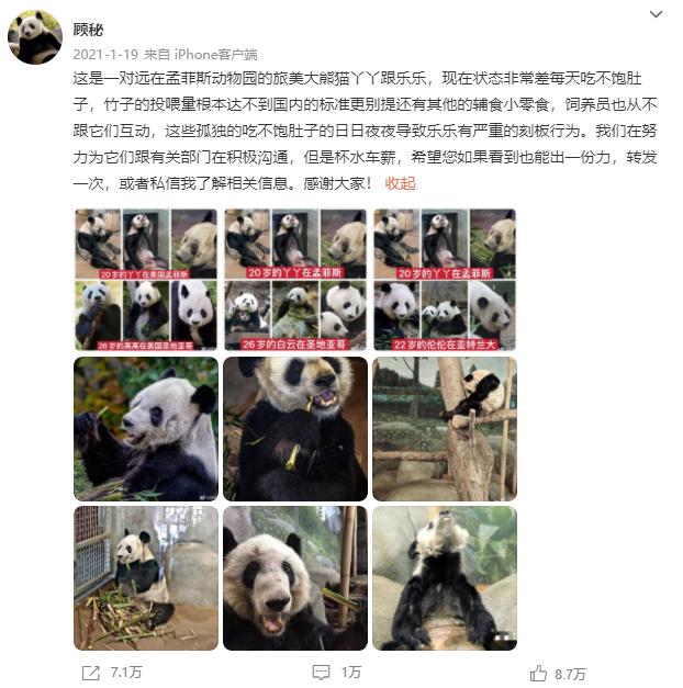 2011年11月11日到底有多特别？这些隐藏攻略你绝对想不到！