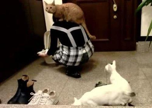 好听洋气的家字起名大全，打造独特个性名字