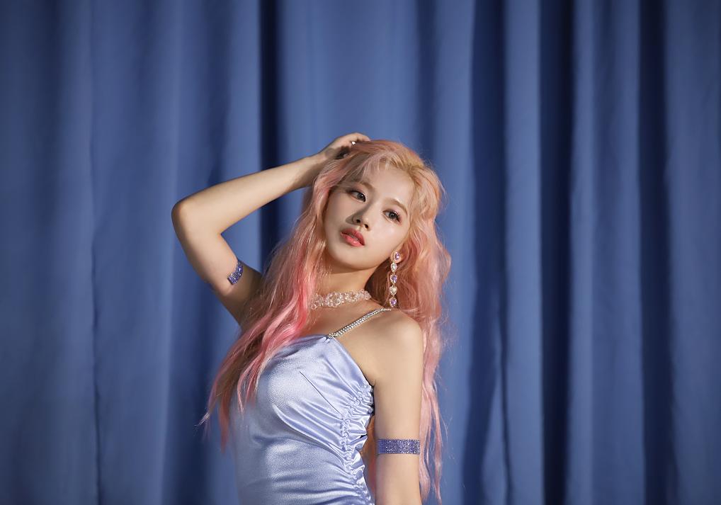 新手养斗牛犬会踩多少坑？