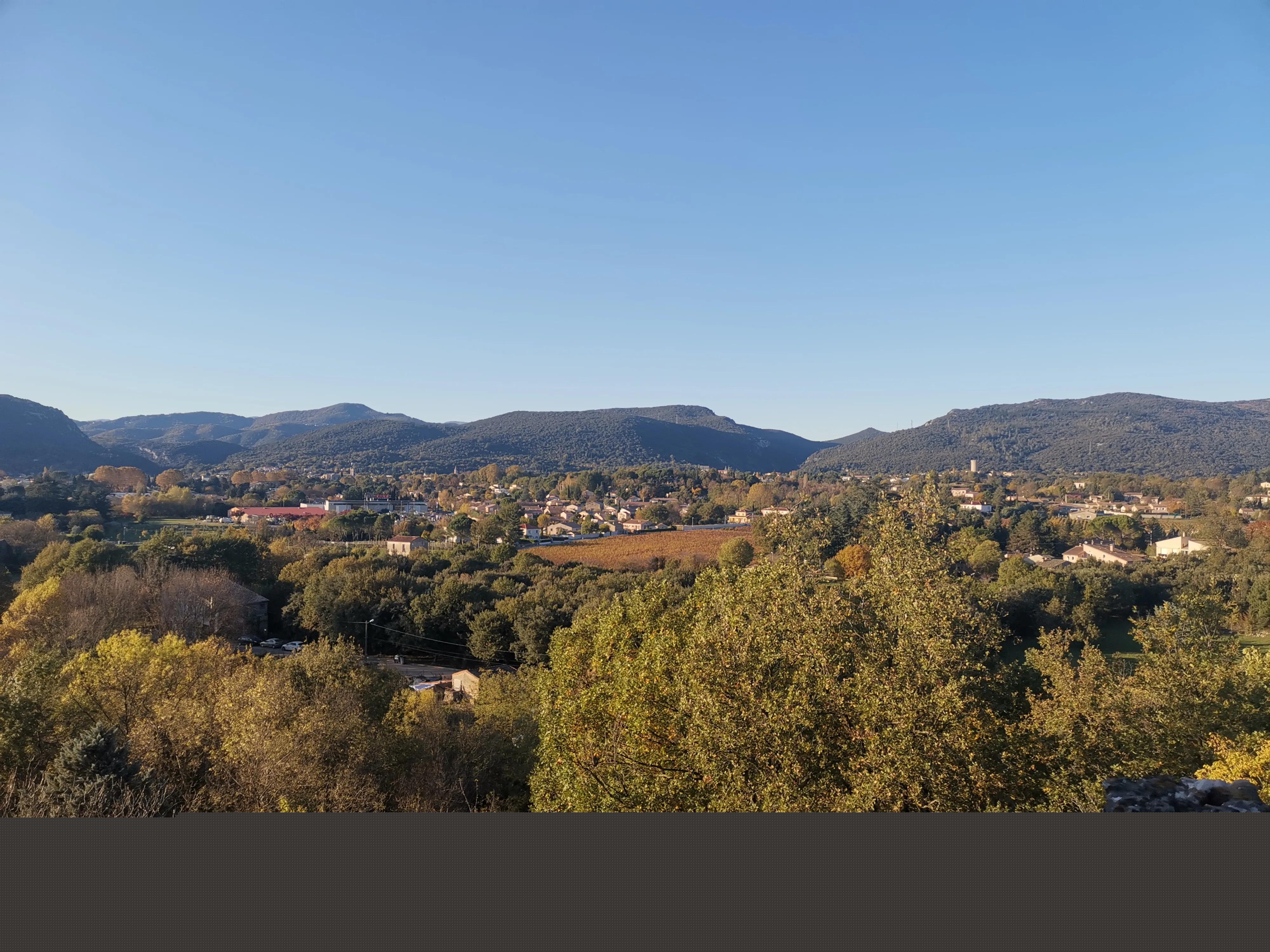 2008年7月12日出生的人命运如何？详细解析命理运势