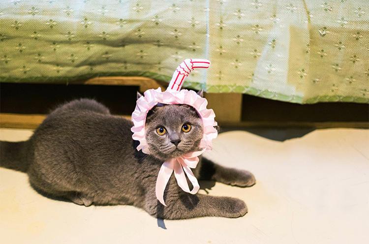 2022年农历9月订婚吉日一览表：挑选最佳日子，幸福美满启程