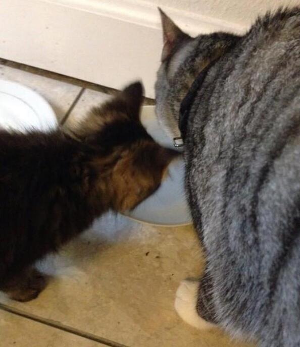 新手小白怎么靠淘大客每月多赚3000块？