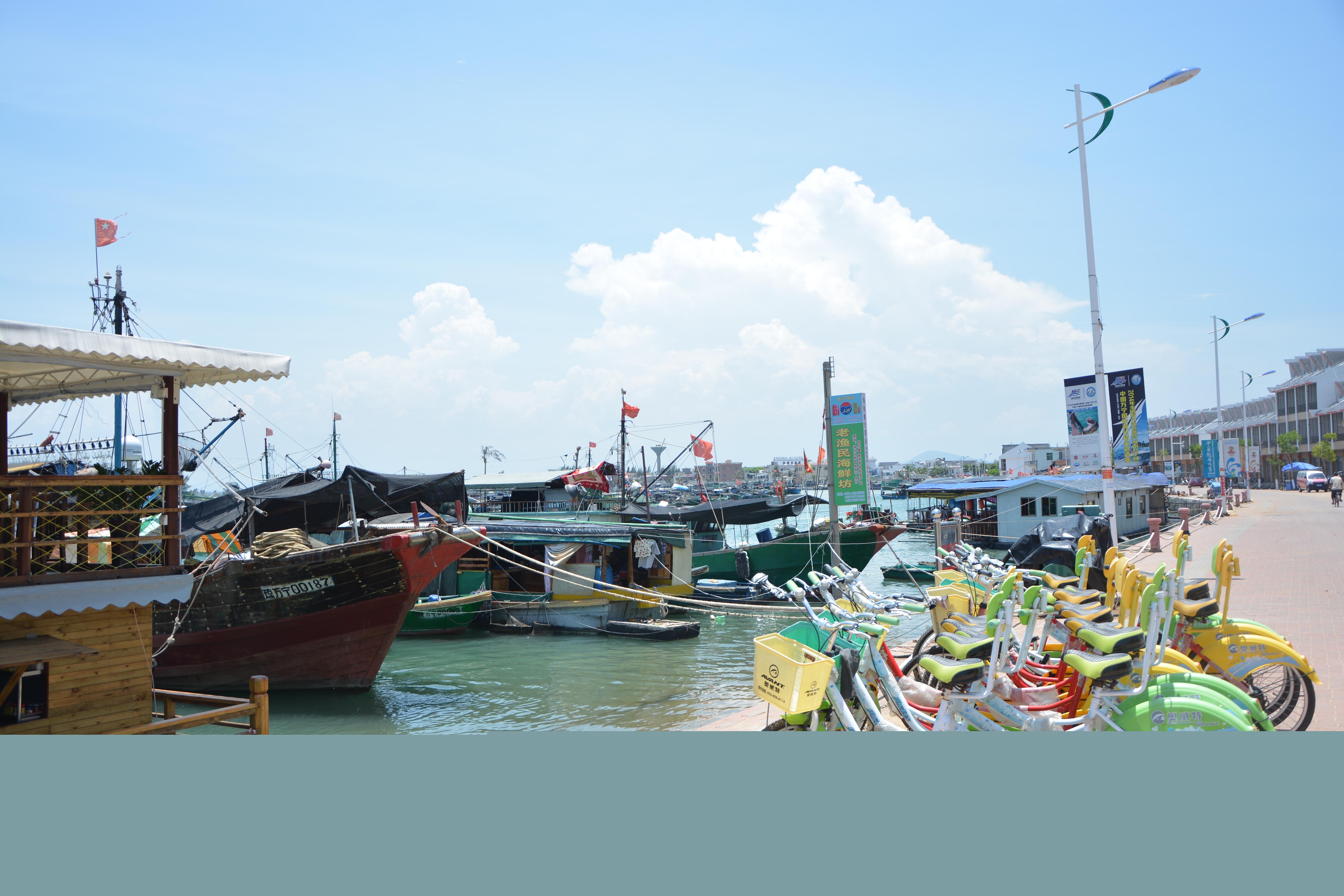 2012年出生的龙宝宝们现在怎么样了？