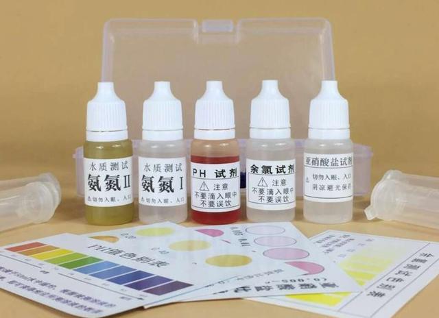 观赏鱼繁殖技巧与注意事项：如何成功培育健康鱼苗