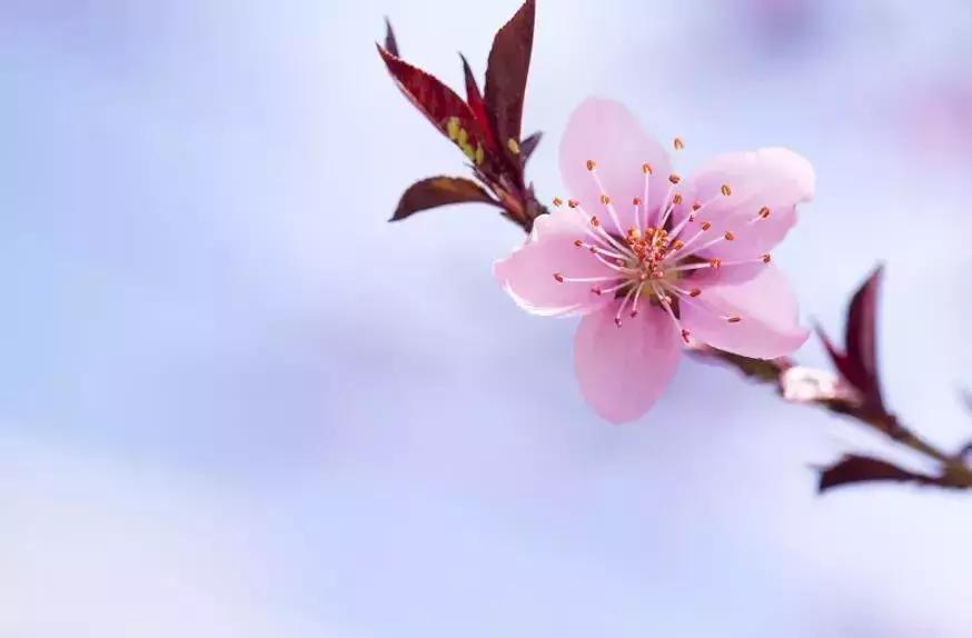 为什么别人总能记住重要日子你却总忘？