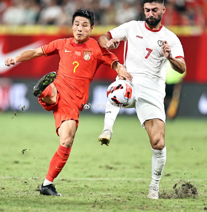 蝴蝶犬幼犬该怎么养才不会踩坑？