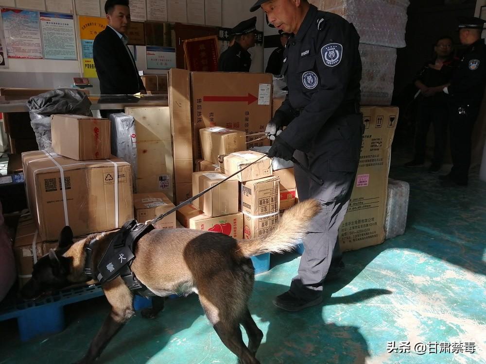 邮政快递单号丢了还能查物流吗？