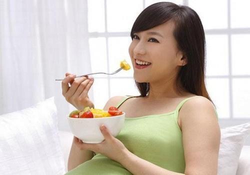 家中猫猫常备药箱：必备药品清单与使用指南