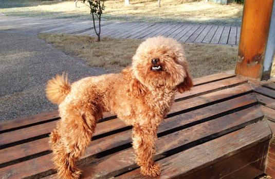 零库存真能开网店赚钱吗？